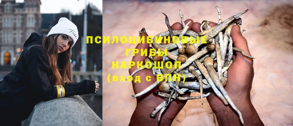 каннабис Арсеньев